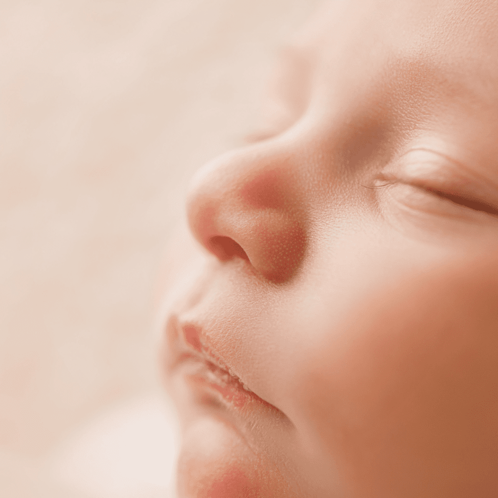 le foetus alterne les phases de sommeil actif et calme jusqu'au moment de l'accouchement 